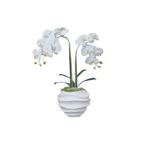 23" Faux White Orchid Flower Arrangement | Realistic White Floral Display