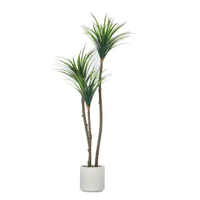 59" Artificial Faux Dragon Tree in a Beige Modern Planter