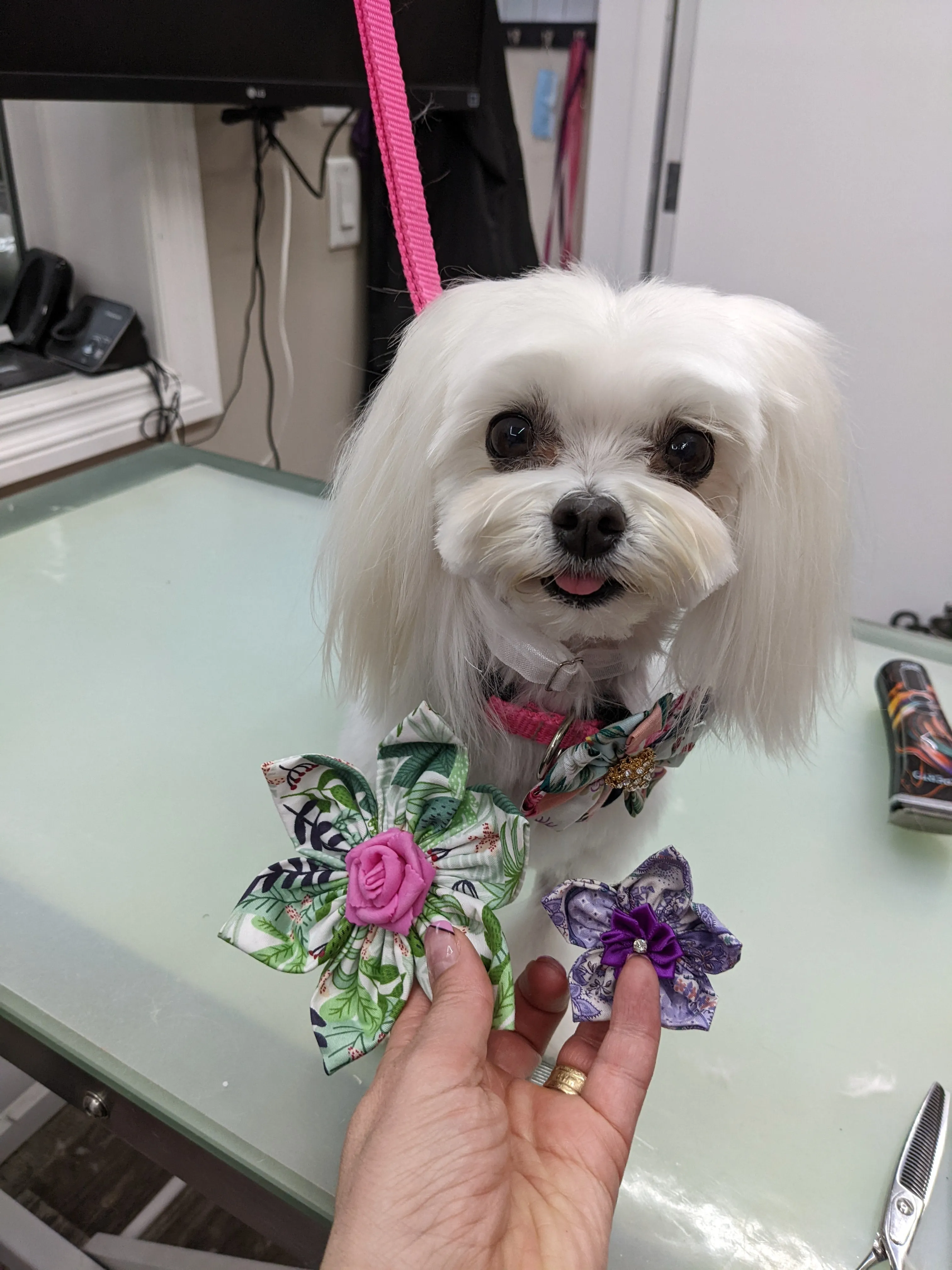 Bespoke Collar Blossoms & Bowties