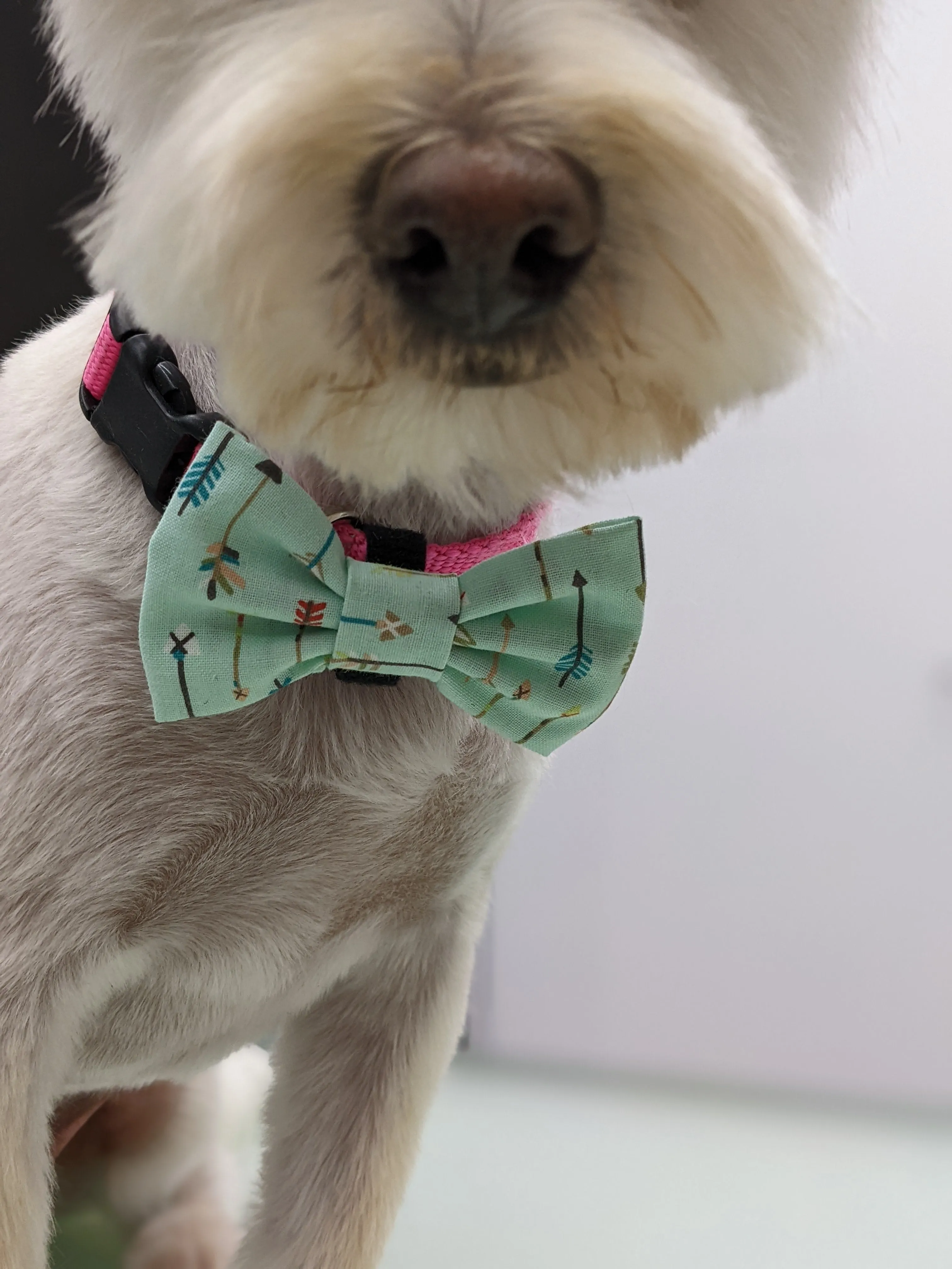 Bespoke Collar Blossoms & Bowties