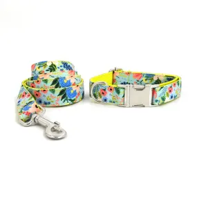 Colorful Leash and Collar Set for All Size Dogs