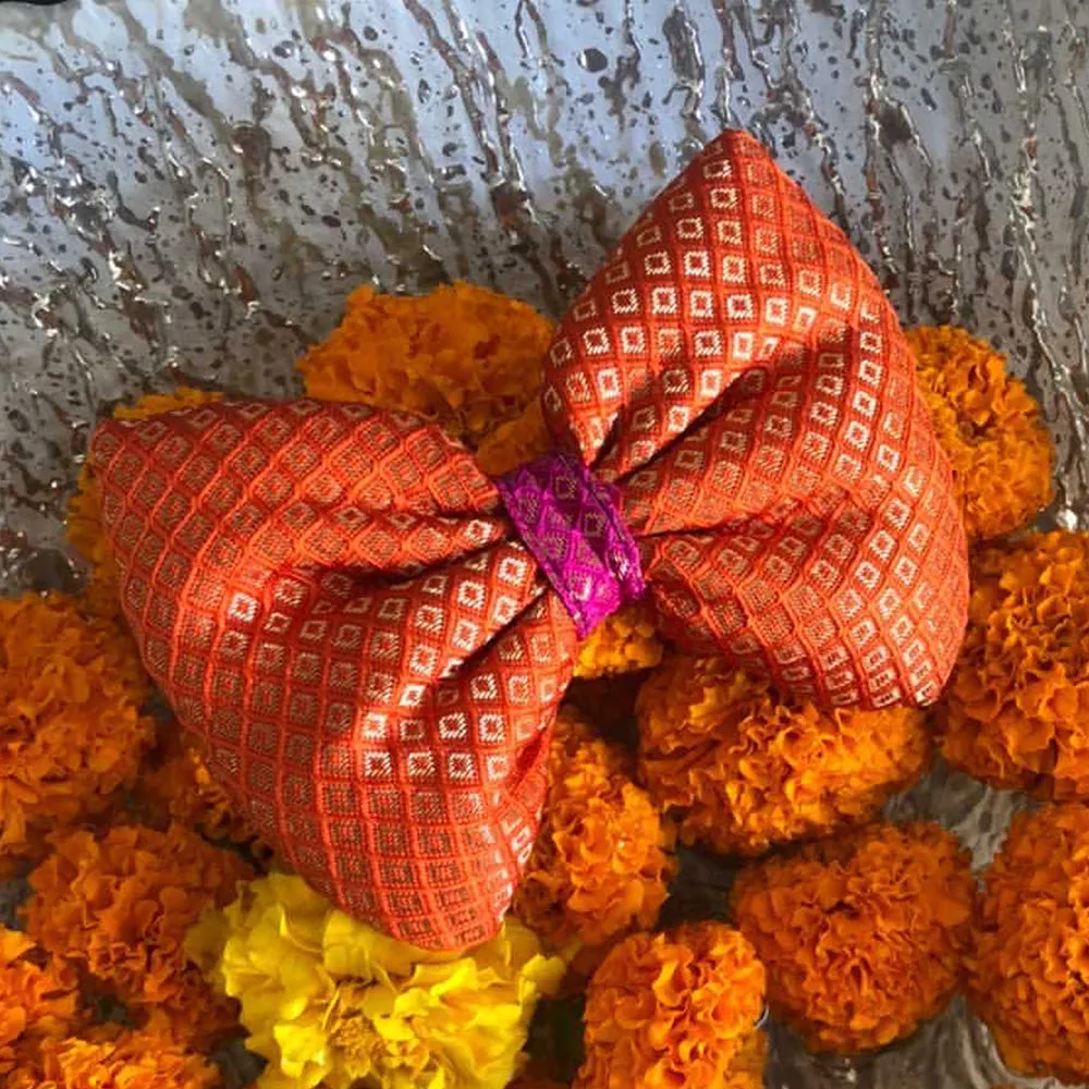 Dear Pet Brocade Bow in Orange