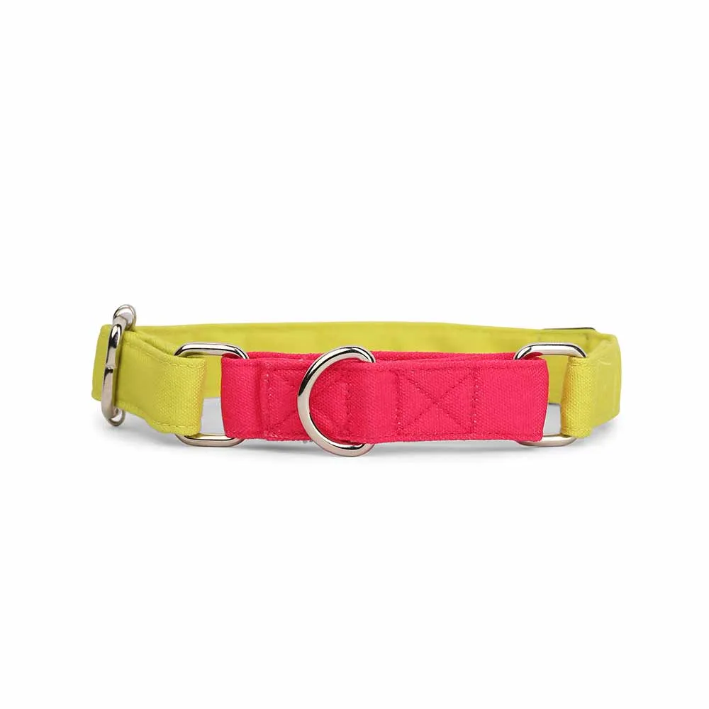 Dear Pet Double Trouble Martingale Lime & Pink Dog Collar