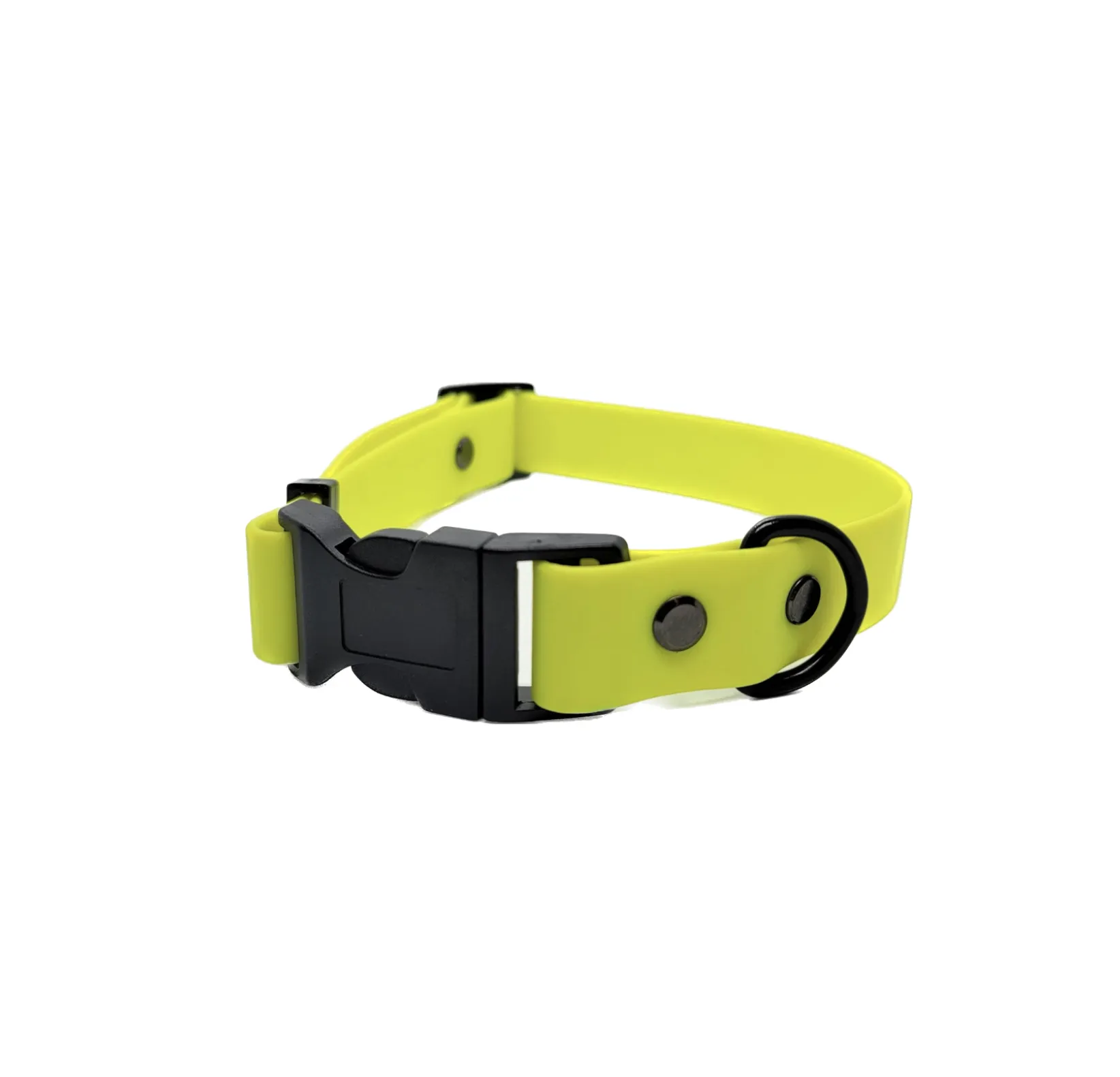 Dog People Biothane Basics Collar 3/4'' Lagoon