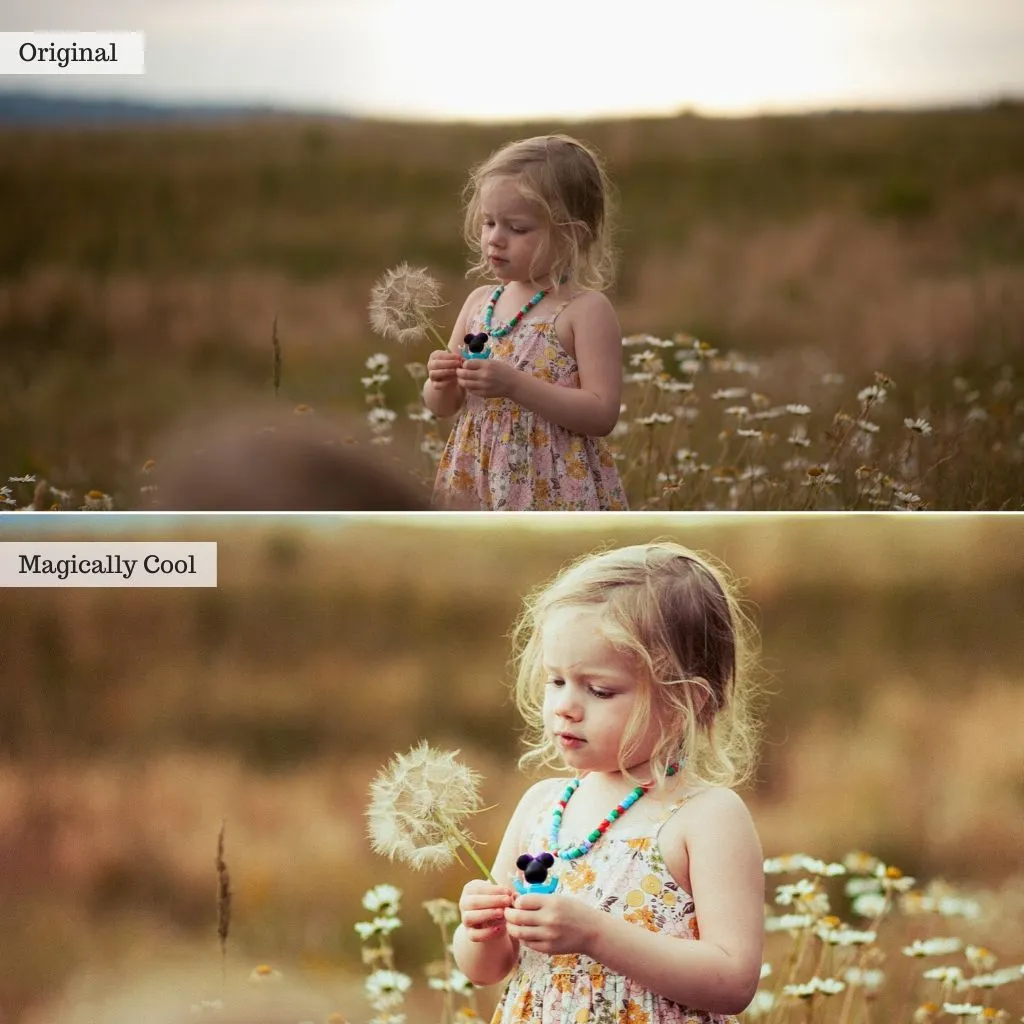 Fairytales Lightroom Presets – Desktop & Mobile