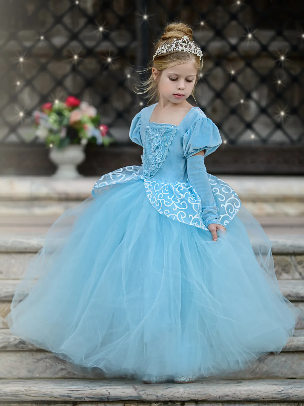 Girls Deluxe Princess Cinderella Inspired Costume Ball Gown