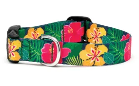 Hibiscus Dog Collar