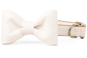 Ivory Bow Tie Dog Collar