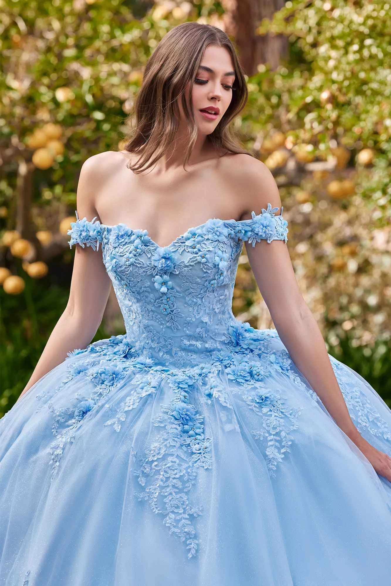 Ladivine 15702 Floral Off the Shoulder Floral Quince Ball Gown