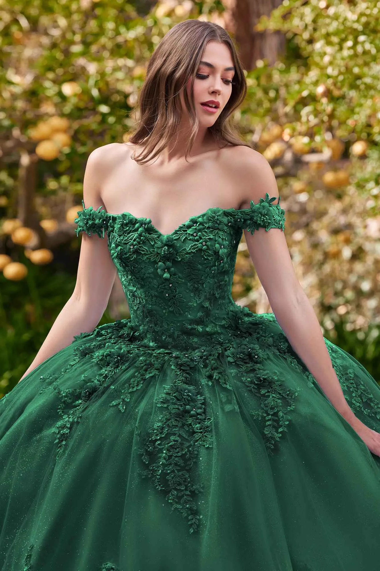 Ladivine 15702 Floral Off the Shoulder Floral Quince Ball Gown