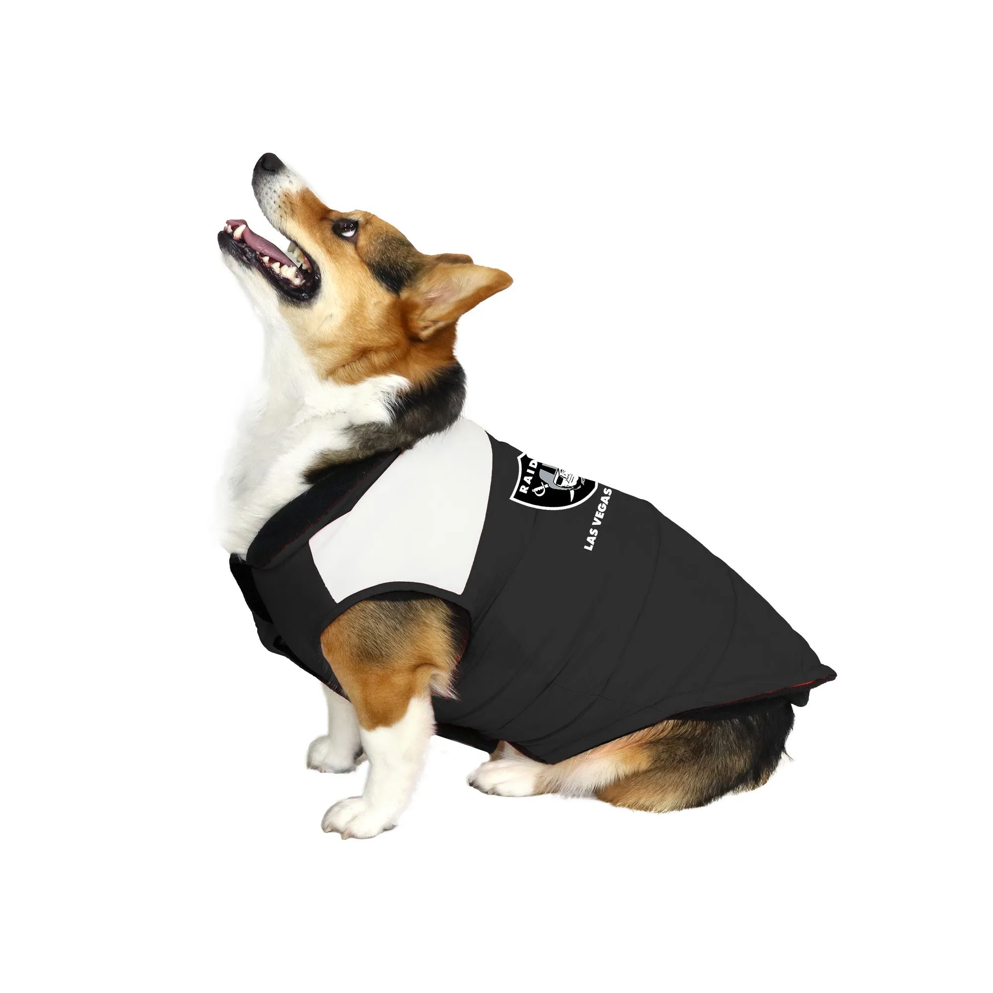 Las Vegas Raiders Pet Parka Puff Vest