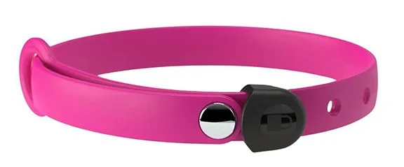 Nuvuq Raspberry Pink Collar Dog