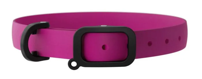 Nuvuq Raspberry Pink Collar Dog