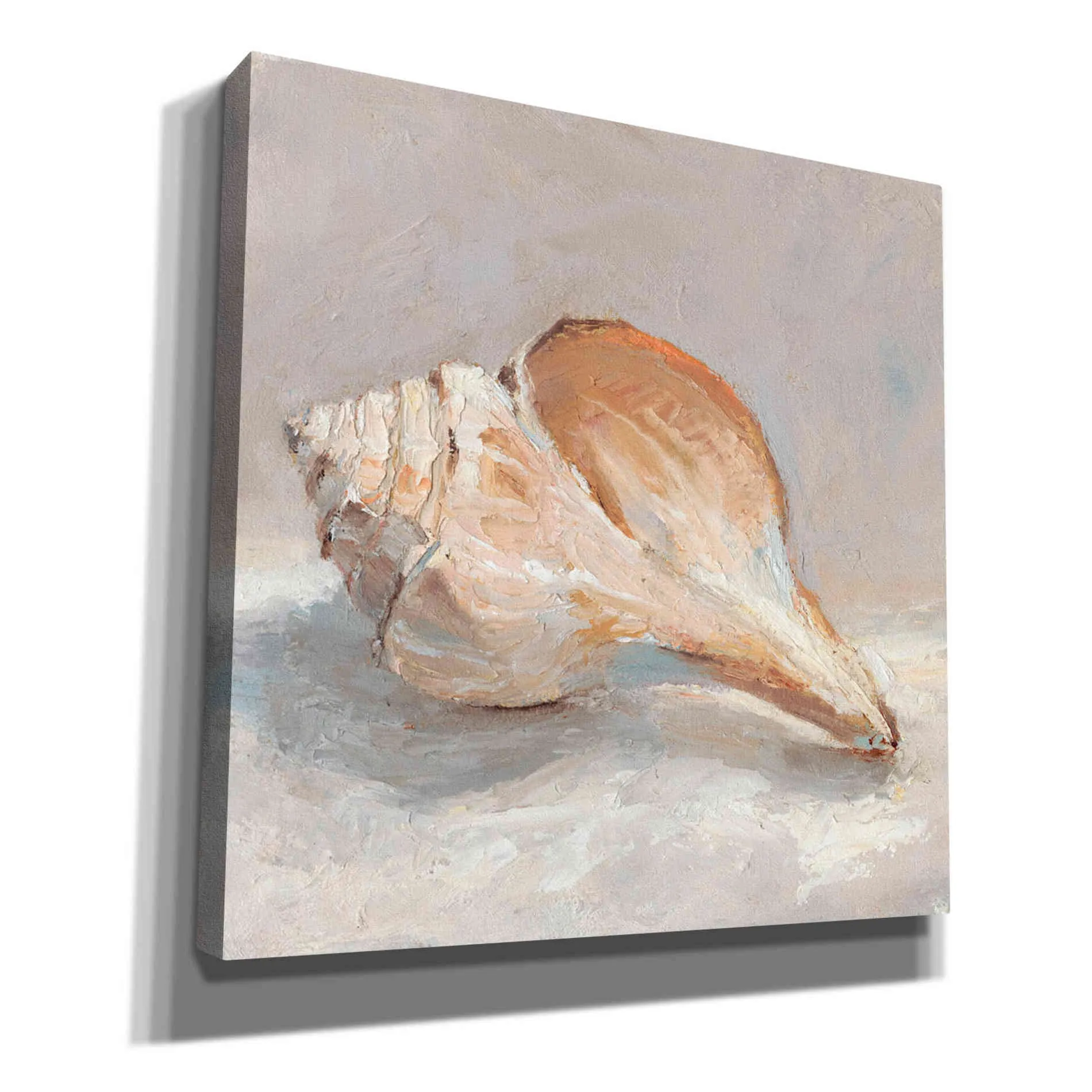 "Impressionist Shell Study III" by Ethan Harper, Canvas Wall Art