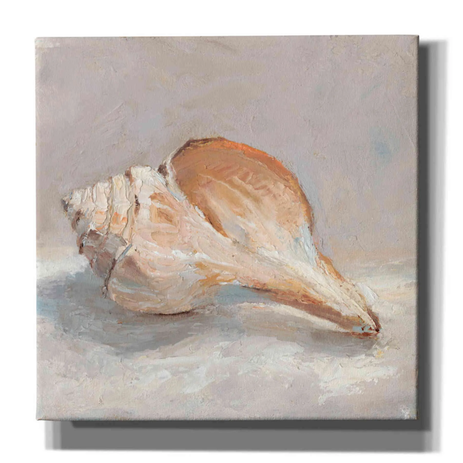 "Impressionist Shell Study III" by Ethan Harper, Canvas Wall Art