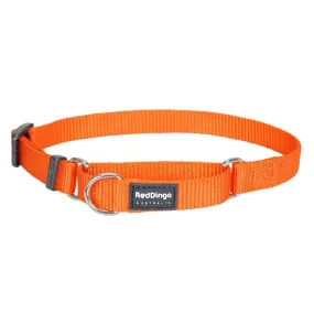 Red Dingo Dog Martingale Collar Orange (20mm x 32-47cm)