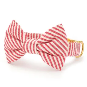 Red Stripe Bow Tie Collar