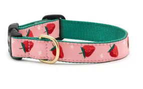 Strawberry Fields Dog Collar