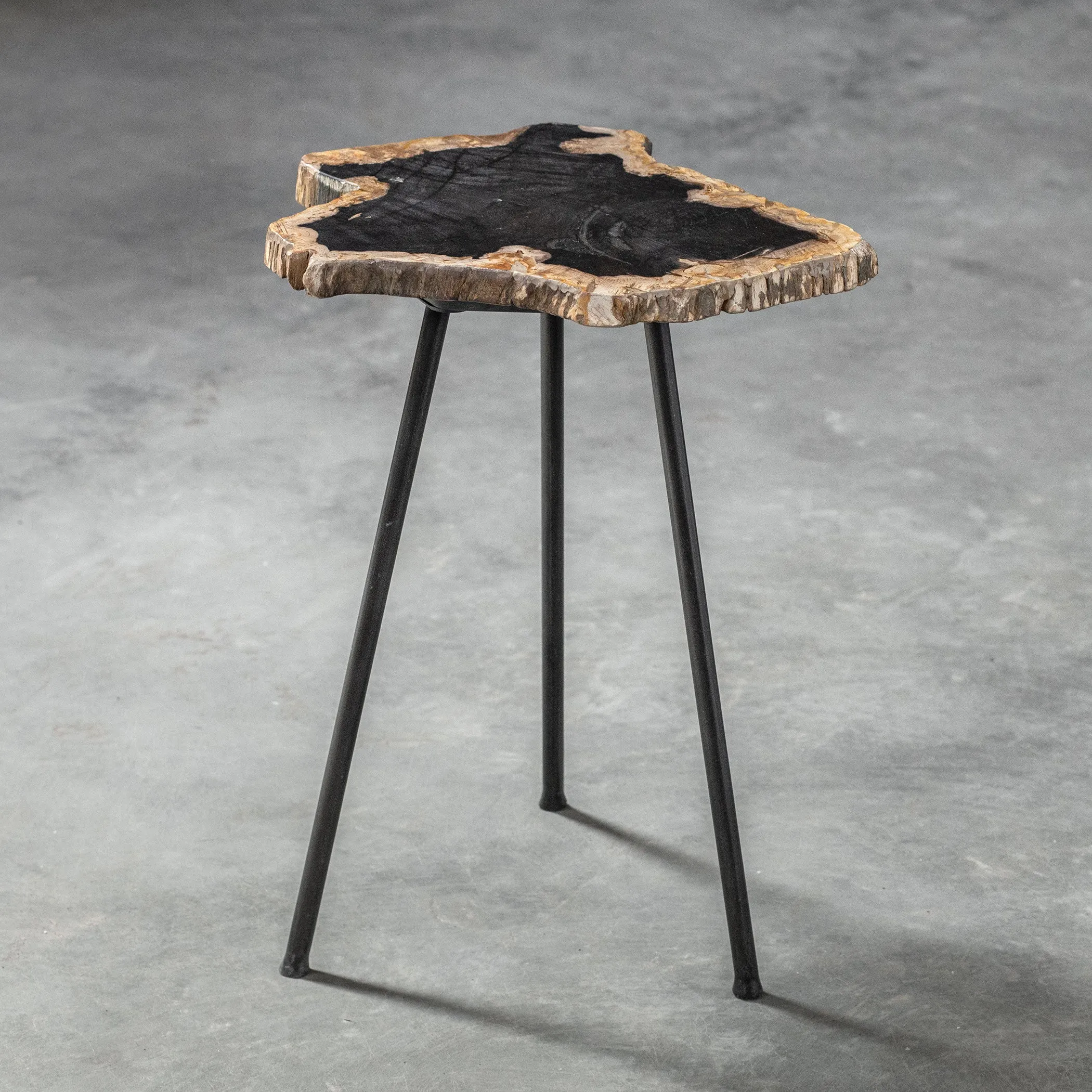 Uttermost Mircea Petrified Wood Accent Table